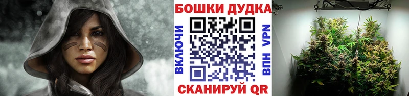 Канабис сатива Кунгур
